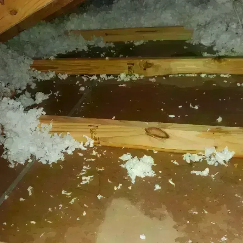 Attic Water Damage in Morgans Point Resort, TX